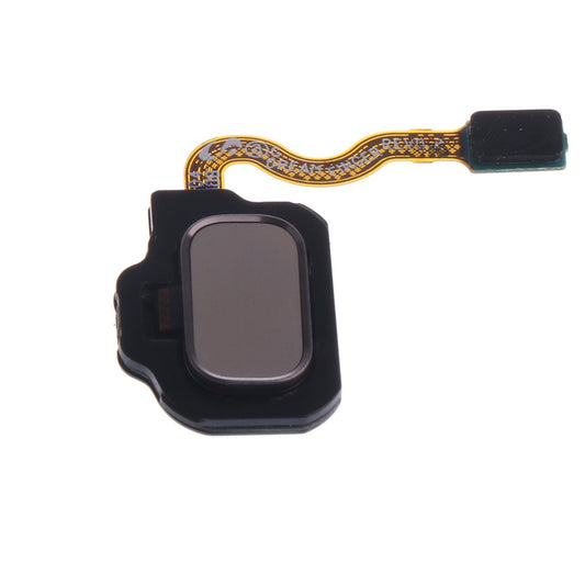 Replacement Fingureprint Sensor With Flex For Samsung Galaxy S8 Gold